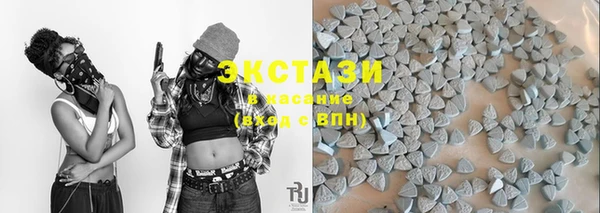 стафф Богданович