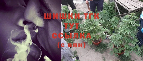 стафф Богданович